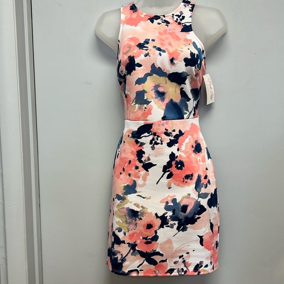 NWT Pink Lily “At First Glance” Floral Printed Dress Size Large - Picture 1 of 12